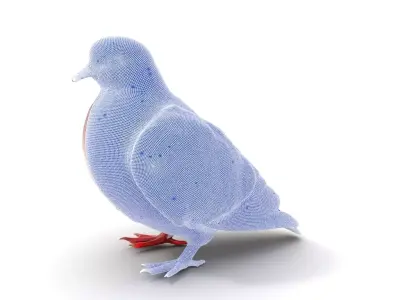 Elegant Pigeon Model Pack Low-poly 3D model