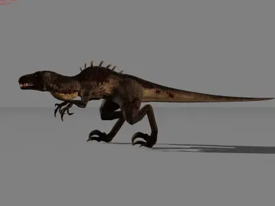 Black Raptor Animal  Low-poly 3D model