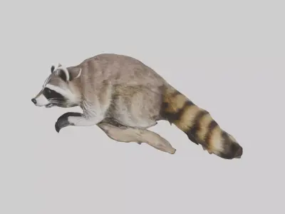 Raccoon climbing model Low-poly 3D model
