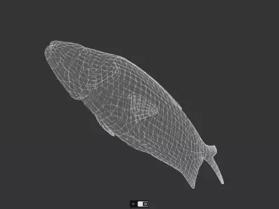 Dried Fish Low-poly 3D model