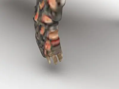 Turtle 3D model purchase