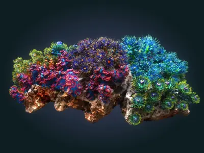Coral reef ecosystem Animated 3D model