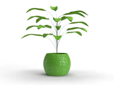 High detailed model of a plant with vase 3D model