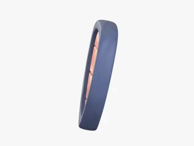 Shield 3D Illustration 3D model