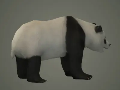 panda bear wildlife beast wild fur teddy outdoors mammal 3D model