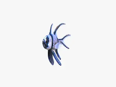  Banggai and Orbiculate Cardinalfish 
