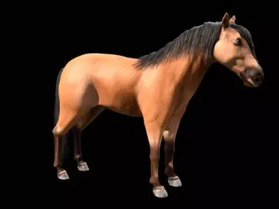 horse blender Free 3D model