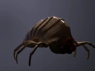 Scarab scar 3D model