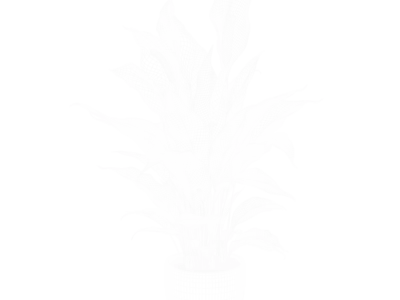  Peace Lily Plant Model  buy