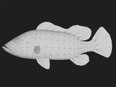 Bass fish Low-poly 3D model