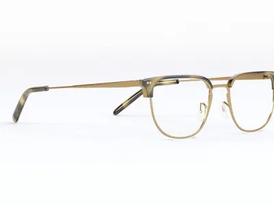 Willman Cocobolo Antique Gold Optical Eyewear by Oliver Peoples 3D model