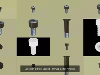 Collection of Steel Stained Torx Cap Bolts 3D Model Pack
