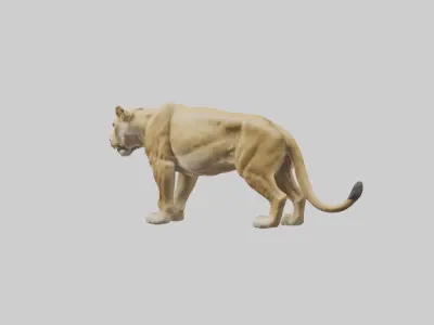 Lioness hunting model Low-poly 3D model