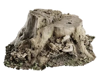  Short Cut Bare Stump Model 