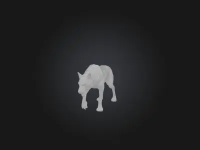 Realistic Wolf Modell Low-poly 3D model