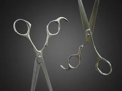 Barber scissors and thinning hair scissors 3D model