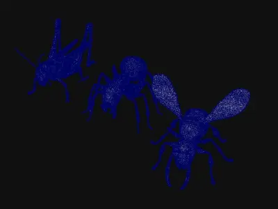 Animals Insect 3D model
