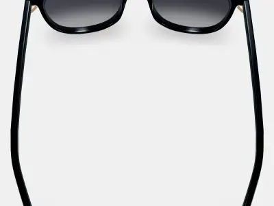 Durand Sunglasses in Jet Black with Polished Gold 3D model purchase