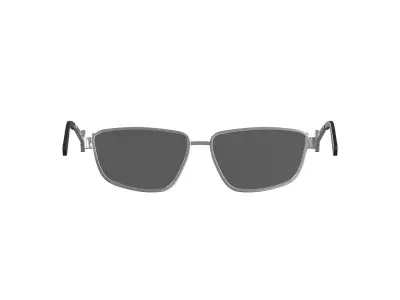 Silver Metal Sunglasses 3D model