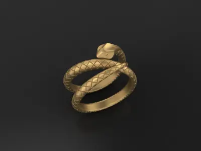 Ring snake 3D print model