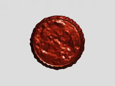 Moon Decoration Portrait Free 3D model