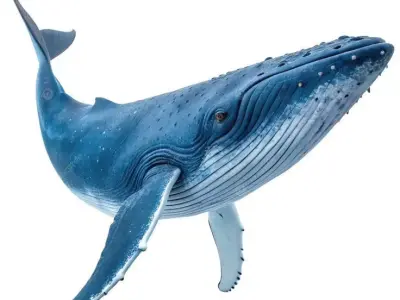 Blue Whale 3D Realistic Ocean Animal Detailed Skin Texture Low-poly 3D model