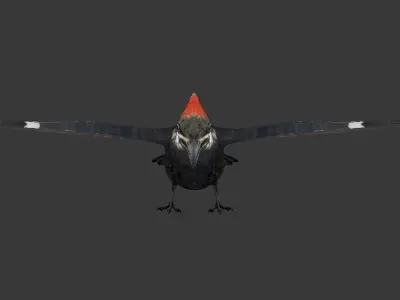 woodpecker Low-poly 3D model