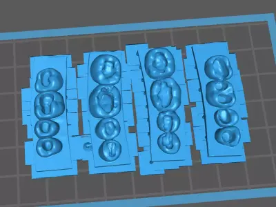 Dental training models 3D print model