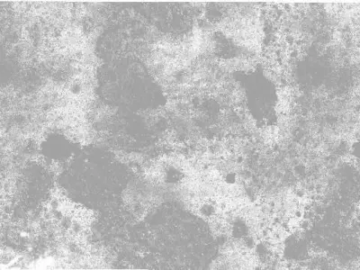 Horse Head - Side table  3D model