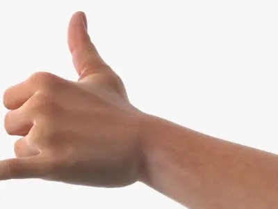 Male Arm Pair with Shaka Gesture 3D model