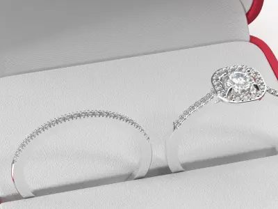 Engagement Rings Silver Color in Velvet Case 3D model