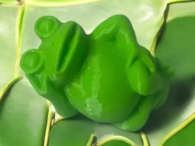 Frog cool 3D print model