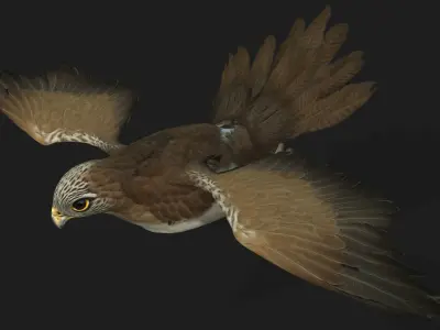 Kestrel B4 3D model