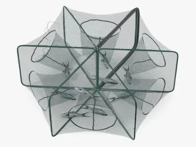 Mesh Fishing Trap with Fish Inside 3D model
