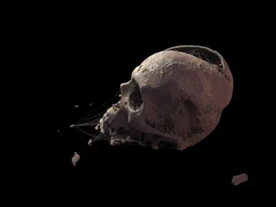 Broken Skull with Spider webs 4 3D model
