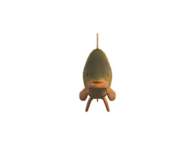 Realistic Carp Freshwater Fish Low-poly 3D model