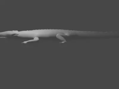 crocodile 3D model order
