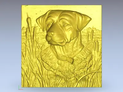 Portrait of a dog in the water 3D model