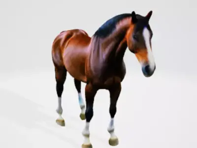 High quality horse model Low-poly 3D model