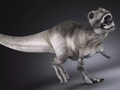 Tyranosaurus Rex 3D model