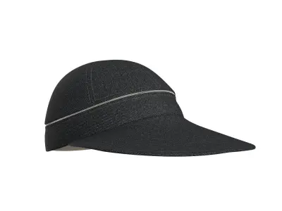 Face Saver Hat 3D model