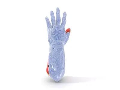 Futuristic Robotic Arm Model Pack with Articulated Fingers Low-poly 3D model