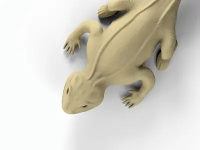 Bearded dragon Low-poly 3D model