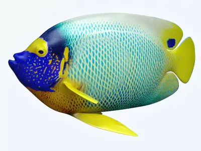 Angle Fish 16 3D model