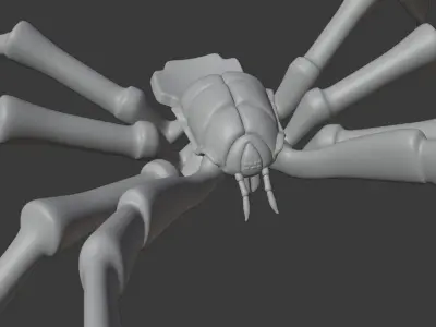 Spider Jewelry 3D print model