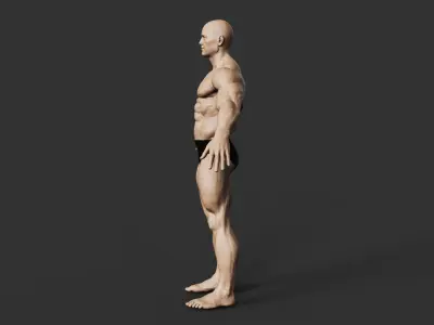 Bodybuilder 3D print model order