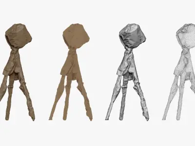 001275 the light hiden under dark coat lowpoly 3D model
