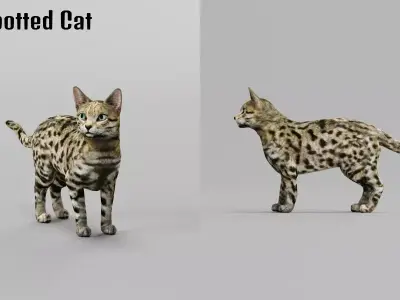 Black Spotted Cat Free 3D model