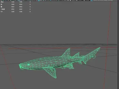 Shark Low-poly 3D model 28