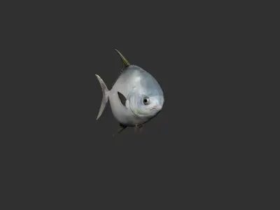 snubnose pompano Fish Low-poly 3D model